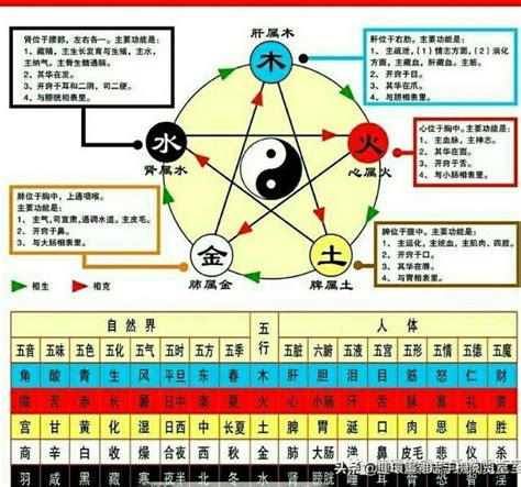 金木水火土命格|金木水火土查询表 五行命格查询